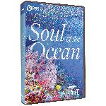 Click here for more information about Soul of the Ocean - DVD