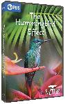 Click here for more information about The Hummingbird Effect - DVD